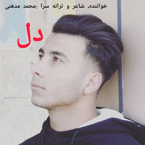 محمد مدهنی دل